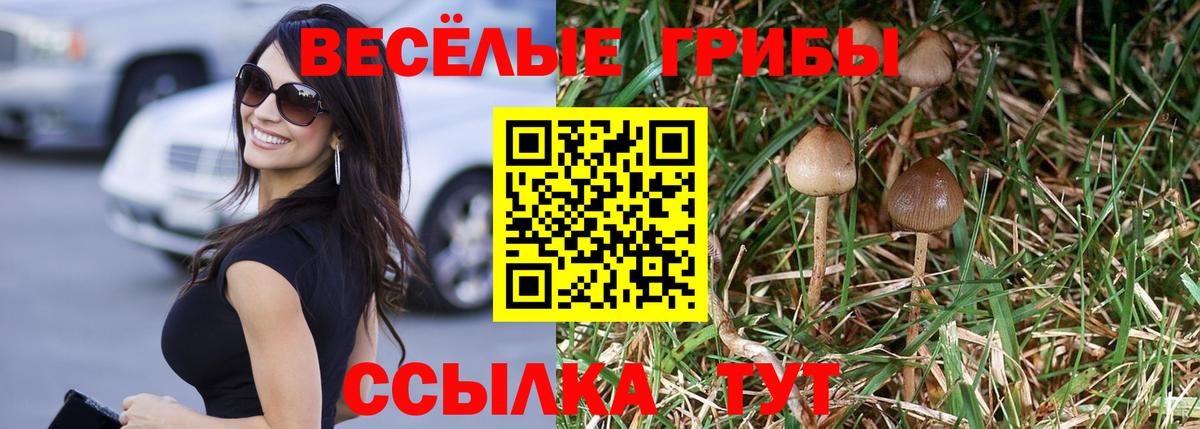 Галлюциногенные грибы Psilocybine cubensis Нижнеудинск